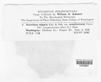 Image Associated With the Occurence